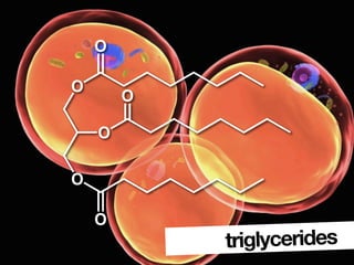 Triglycerides