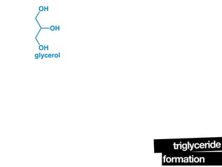 Triglycerides