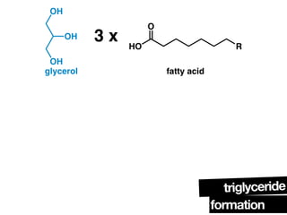 Triglycerides