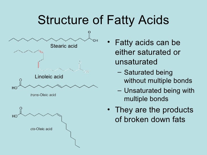 Triglycerides And Fatty Acids