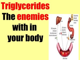 Triglycerides 
The enemies 
with in 
your body 
 