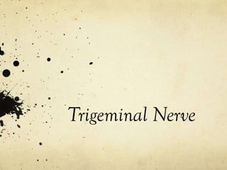 Trigeminal Nerve
 