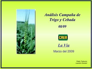 Análisis Campaña de Trigo y Cebada 08/09 La Vía Marzo del 2009 Pablo Trabucco Leandro Granieri 