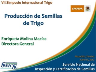 VII Simposio Internacional Trigo


 Producción de Semillas
       de Trigo

Enriqueta Molina Macías
Directora General

                                              Mazatlán, Sinaloa
                                                 Junio 15, 2012
                                      Servicio Nacional de
                     Inspección y Certificación de Semillas
 