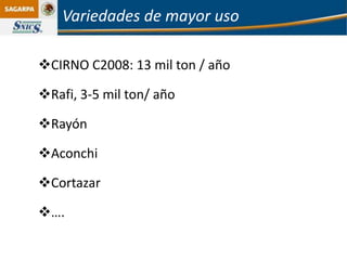 Variedades de mayor uso

CIRNO C2008: 13 mil ton / año

Rafi, 3-5 mil ton/ año

Rayón

Aconchi

Cortazar

….
 