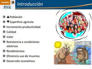 Introducción

 Población
 Superficie agrícola
 Incremento productividad
 Calidad
 Valor
 Resistencia a condiciones
  adversas
 Rendimientos
 Eficiencia uso de Insumos
 Desarrollo económico
                              2
 