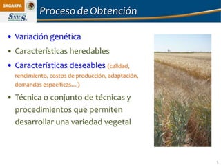Proceso de Obtención

• Variación genética
• Características heredables
• Características deseables (calidad,
  rendimiento, costos de producción, adaptación,
  demandas específicas…)

• Técnica o conjunto de técnicas y
  procedimientos que permiten
  desarrollar una variedad vegetal



                                                   5
 