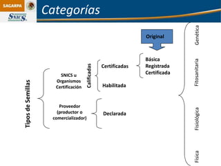 Categorías




                                                                                  Genética
                                                                   Original



                                                                   Básica




                                                                                 Fitosanitaria
                                      Calificadas
                                                    Certificadas   Registrada
                        SNICS u                                    Certificada
                      Organismos
Tipos de Semillas




                      Certificación                 Habilitada


                        Proveedor




                                                                                 Fisiológica
                       (productor o                 Declarada
                     comercializador)




                                                                                 Física
 