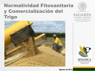 Normatividad Fitosanitaria
y Comercialización del
Trigo
Agosto de 2013
 