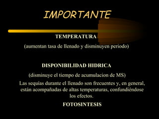 IMPORTANTE

                 TEMPERATURA
  (aumentan tasa de llenado y disminuyen periodo)


          DISPONIBILIDAD HIDRICA
    (disminuye el tiempo de acumulacion de MS)
Las sequías durante el llenado son frecuentes y, en general,
están acompañadas de altas temperaturas, confundiéndose
                        los efectos.
                    FOTOSINTESIS
 