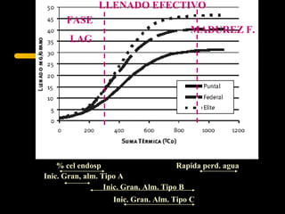 LLENADO EFECTIVO
      FASE
                                          MADUREZ F.
       LAG




    % cel endosp                       Rapida perd. agua
Inic. Gran, alm. Tipo A
                  Inic. Gran. Alm. Tipo B
                   Inic. Gran. Alm. Tipo C
 