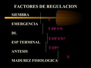 FACTORES DE REGULACION
SIEMBRA
               T
EMERGENCIA
               T FP VN
DL
               T FP VN?
ESP TERMINAL
               T FP?
ANTESIS
                          T
MADUREZ FISIOLOGICA
 
