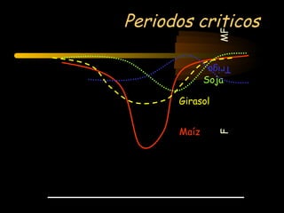 Periodos criticos




                MF
             Trigo
             Soja

      Girasol


      Maíz




                F
 