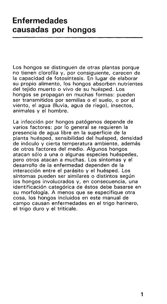 La pigmentación sobre la persona de la causa y el tratamiento el foro