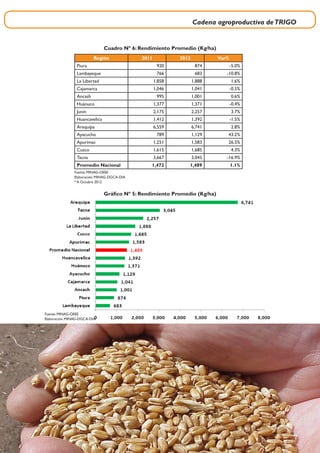 Cadena agroproductiva deTRIGO
13
Gráfico Nº 5: Rendimiento Promedio (Kg/ha)
Fuente: MINAG-OEEE
Elaboración: MINAG-DGCA-DIA
Región 2011 2012 Var%
Piura 920 874 -5.0%
Lambayeque 766 683 -10.8%
La Libertad 1,858 1,888 1.6%
Cajamarca 1,046 1,041 -0.5%
Ancash 995 1,001 0.6%
Huánuco 1,377 1,371 -0.4%
Junín 2,175 2,257 3.7%
Huancavelica 1,412 1,392 -1.5%
Arequipa 6,559 6,741 2.8%
Ayacucho 789 1,129 43.2%
Apurimac 1,251 1,583 26.5%
Cusco 1,615 1,685 4.3%
Tacna 3,667 3,045 -16.9%
Promedio Nacional 1,472 1,489 1.1%
Cuadro Nº 6: Rendimiento Promedio (Kg/ha)
Fuente: MINAG-OEEE
Elaboración: MINAG-DGCA-DIA
* A Octubre 2012
 