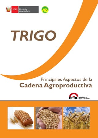 Cadena agroproductiva deTRIGO
1
TRIGO
Principales Aspectos de la
Cadena Agroproductiva
 