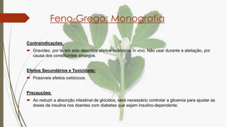 Feno-grego - O que é, Usos medicinais e Contraindicações