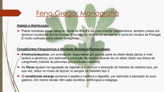 Feno-Grego: Monografia
Habitat e distribuição:
 Planta herbácea anual nativa do Norte de África e da zona oriental medite...