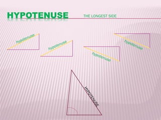 THE LONGEST SIDE



           se
        enu
hy   pot                     e                           h yp
                        e nus                                ote
                                                                 nu
                hy   pot                                              se
                                        hyp
                                           o   te n
                                                   use




                                 HY
                                   PO
                                   TE
                                     NU
                                        SE
 