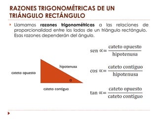 RAZONES TRIGONOMÉTRICAS DE UN
TRIÁNGULO RECTÁNGULO
    Llamamos razones trigonométricas a las relaciones de
     proporcionalidad entre los lados de un triángulo rectángulo.
     Esas razones dependerán del ángulo.




                              hipotenusa
    cateto opuesto
                                       α

                     cateto contiguo
 