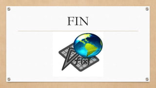 FIN