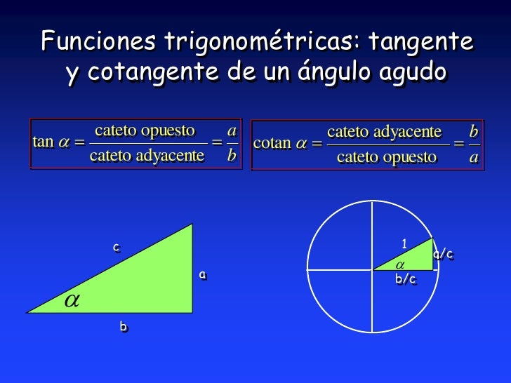 Trigonometria
