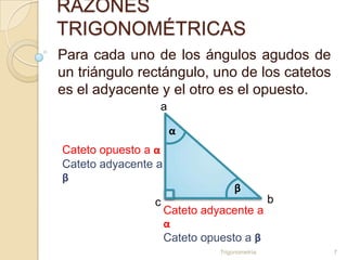 RAZONES
TRIGONOMÉTRICAS
Para cada uno de los ángulos agudos de
un triángulo rectángulo, uno de los catetos
es el adyacente y el otro es el opuesto.
                 a

                     α
Cateto opuesto a α
Cateto adyacente a
β
                                    β
                c                              b
                     Cateto adyacente a
                     α
                     Cateto opuesto a β
                               Trigonometría       7
 