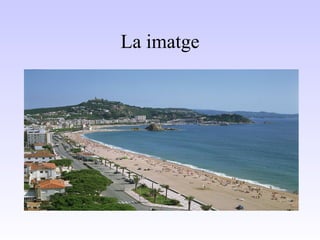 La imatge 