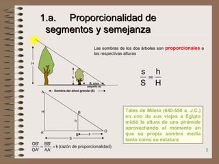 5
1.a. Proporcionalidad de1.a. Proporcionalidad de
segmentos y semejanzasegmentos y semejanza
Sombra del árbol grande (S)
S. árbol
pequeño (s)
H
h
Las sombras de los dos árboles son proporcionales a
las respectivas alturas
H
h
S
s
OA’
A
B’
B
)alidadproporcionderazón(k
'AA
'BB
'OA
'OB
==
H
h
S
s
=
Tales de Mileto (640-550 a. J.C.)
en uno de sus viajes a Egipto
midió la altura de una pirámide
aprovechando el momento en
que su propia sombra medía
tanto como su estatura
Tales de Mileto (640-550 a. J.C.)
en uno de sus viajes a Egipto
midió la altura de una pirámide
aprovechando el momento en
que su propia sombra medía
tanto como su estatura
 
