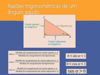 Razões trigonométricas de um
ângulo agudo
 