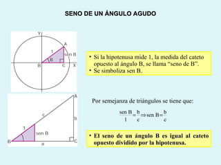 • Si la hipotenusa mide 1, la medida del cateto
opuesto al ángulo B, se llama “seno de B”.
• Se simboliza sen B.
Por semejanza de triángulos se tiene que:
• El seno de un ángulo B es igual al cateto
opuesto dividido por la hipotenusa.
SENO DE UN ÁNGULO AGUDOSENO DE UN ÁNGULO AGUDO
sen B b b
sen B
1 c c
= ⇒ =
 
