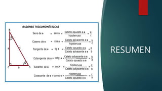RESUMEN
 