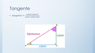 Tangente 
•푡푎푛푔푒푛푡푒= 푐푎푡푒푡표표푝표푠푡표 푐푎푡푒푡표푎푑푗푎푐푒푛푡푒  