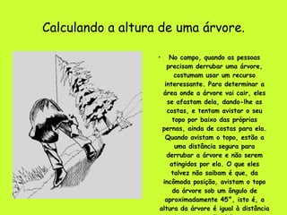 Calculando a altura de uma árvore. No campo, quando as pessoas precisam derrubar uma árvore, costumam usar um recurso interessante. Para determinar a área onde a árvore vai cair, eles se afastam dela, dando-lhe as costas, e tentam avistar o seu topo por baixo das próprias pernas, ainda de costas para ela. Quando avistam o topo, estão a uma distância segura para derrubar a árvore e não serem atingidos por ela. O que eles talvez não saibam é que, da incômoda posição, avistam o topo da árvore sob um ângulo de aproximadamente 45°, isto é, a altura da árvore é igual à distância que estão dela. 