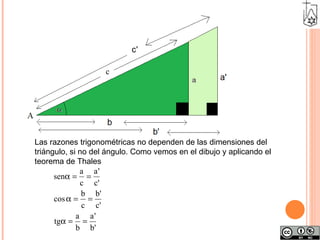 Las razones trigonométricas no dependen de las dimensiones del triángulo, si no del ángulo. Como vemos en el dibujo y aplicando el teorema de Thales 