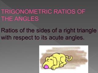 TRIGONOMETRY | PPT
