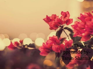 .
Thank u
ppt made by-
Tarun Sharma
 