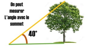 On peut
mesurer
L'angle avec le
sommet

40°

 