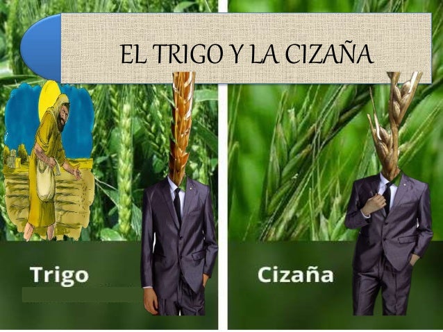 Los preparados nacionales para el aumento de la potencia a los hombres