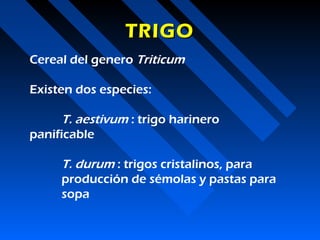 TRIGO
Cereal del genero Triticum

Existen dos especies:

      T. aestivum : trigo harinero
panificable

     T. durum : trigos cristalinos, para
     producción de sémolas y pastas para
     sopa
 