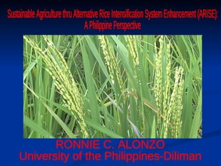 Sustainable Agriculture thru Alternative Rice Intensification System Enhancement (ARISE):  A Philippine Perspective RONNIE C. ALONZO University of the Philippines-Diliman 