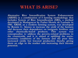 WHAT IS ARISE? Alternative Rice Intensification System Enhancement (ARISE) is a combination of 5 farming methodology that includes System of Rice Intensification (SRI), a method developed in Madagascar by Father Henrie de Laulanie in 1981. ARISE as a modern farming system, was developed by Ronnie C. Alonzo to increase the yield of the farmers and decrease their dependence on inorganic fertilizer and other chemically-based products. This system was conceptualize to address the poverty-related problems in the countryside and it is aimed at uplifting the socio-economic conditions of the farmers and the poor thru increased yields but lowered production thereby giving them an edge in the market and increasing their income potential. 