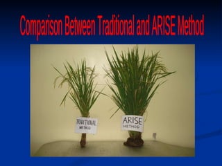 Comparison Between Traditional and ARISE Method 