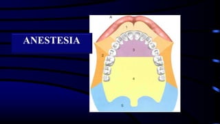 ANESTESIA
 
