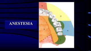 ANESTESIA
 