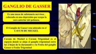 GANGLIO DE GASSER
Es una masa de substancia nerviosa ,
colocada en una depresión que ocupa la
cara anterior del peñasco.
El Ganglio de Gasser esta ubicado en el
CAVUM DE MECKEL
Cavum de Meckel o Cavum Trigeminal es el
espacio donde se aloja el ganglio trigeminal entre
las 2 hojas de la duramadre y la Fosita del ganglio
Gasser o Fosita Trigeminal
 