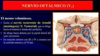 NERVIO OFTÁLMICO (V1)
El menos voluminoso.
• Emite el nervio recurrente de Arnold
(meníngeo);( N. Tentorial), que se dirige
hacia el tentorio ( tienda del cerebelo).
• Se dirige hacia delante por la pared lateral del
seno cavernoso,
• En relación inferior con III y IV y externa con
la carótida interna y el VI par.
 
