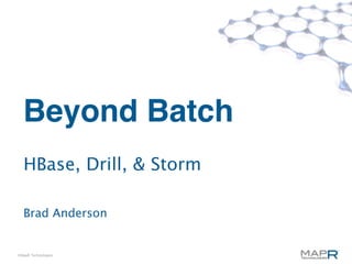Beyond Batch
  HBase, Drill, & Storm

  Brad Anderson


©MapR Technologies
 