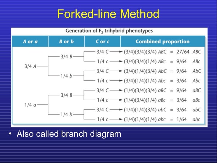 trihybrid cross