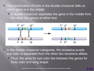 Trihybridhelper | PPT